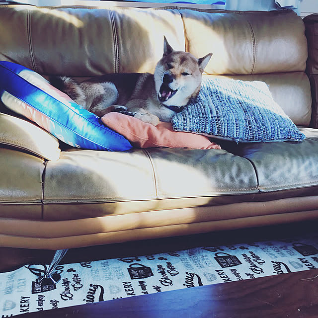 pillowsさんの実例写真