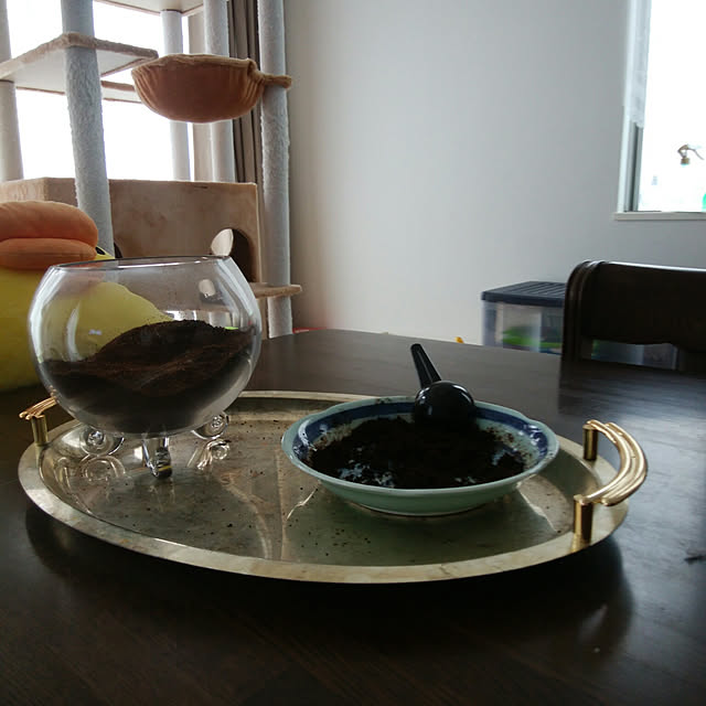 s1gn1skさんの実例写真