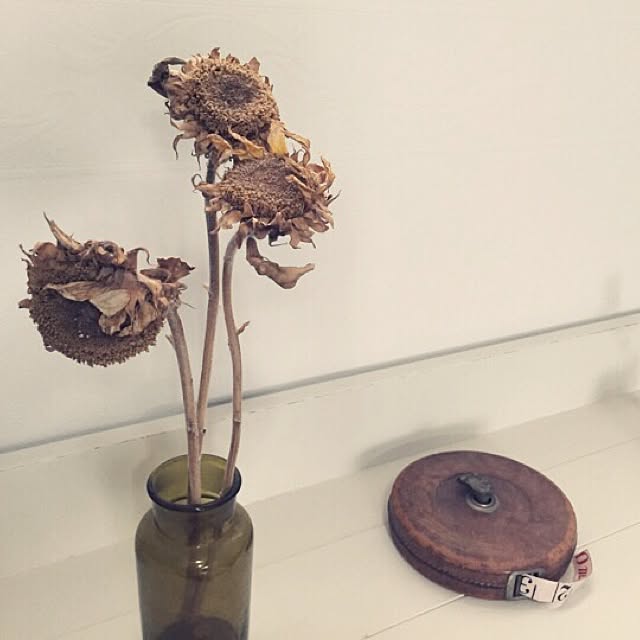 nutsさんの実例写真