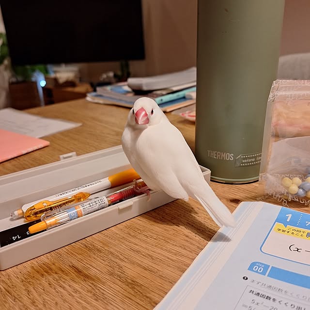 otokiさんの実例写真