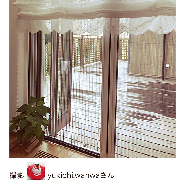 yukichi.wanwaさんの実例写真