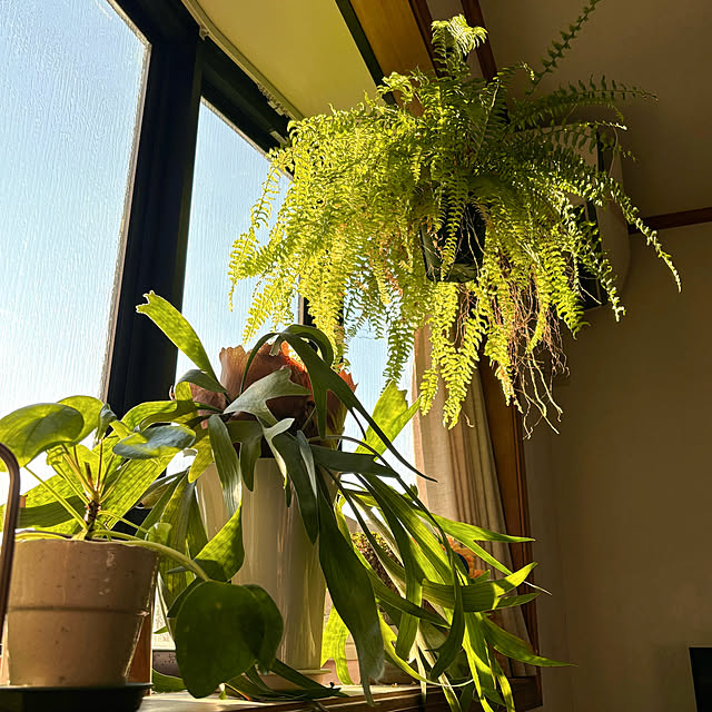 timtamさんの部屋