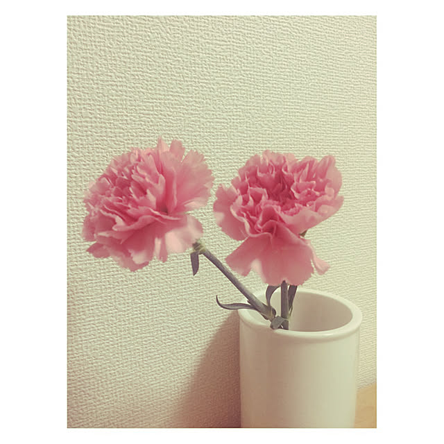 nocomomさんの実例写真