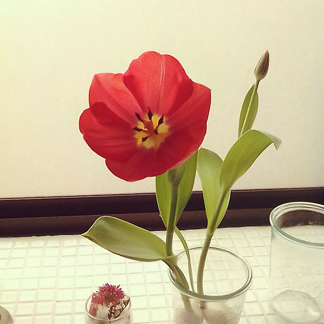 yoshikoさんの実例写真