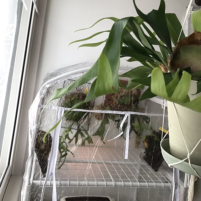MiRiderさんの実例写真