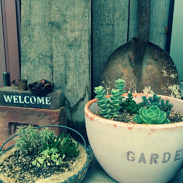 oriさんの実例写真