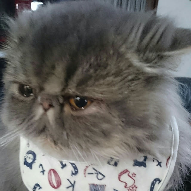 keiさんの実例写真