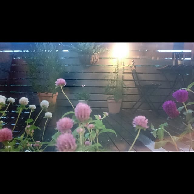 ayasweetさんの実例写真