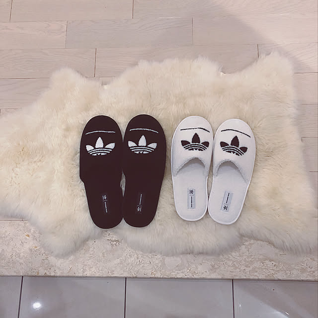 evolさんの実例写真