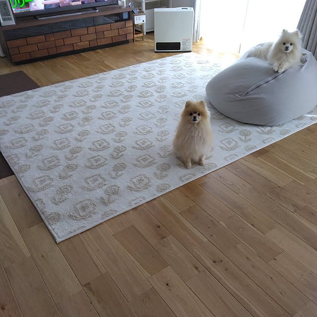 moyoさんの実例写真