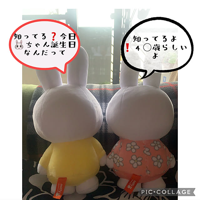 JUNさんの実例写真