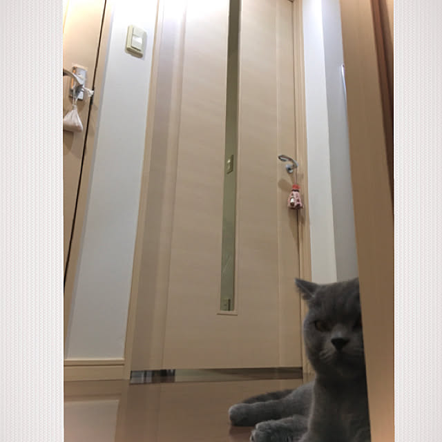 kittyさんの実例写真