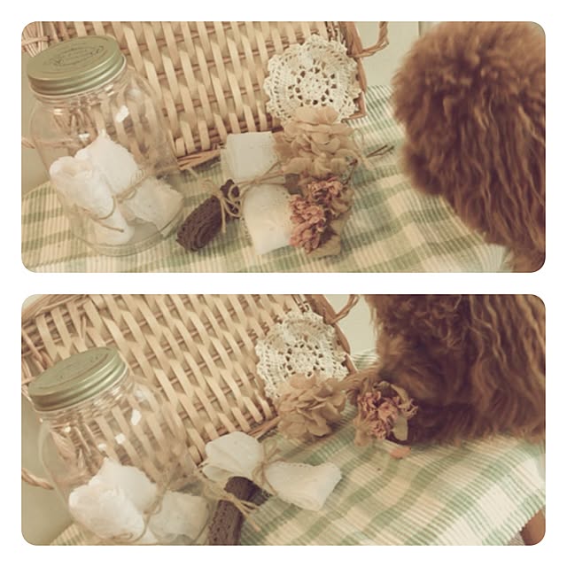 ISM.mumさんの実例写真