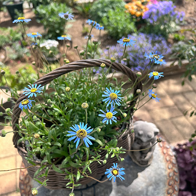 SAYOさんの実例写真