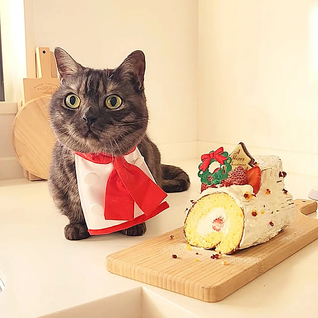 tomatoさんの実例写真