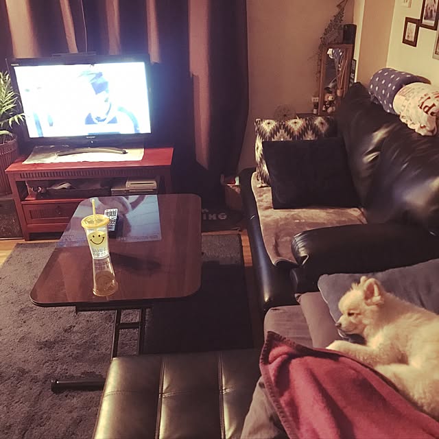sacchiさんの実例写真