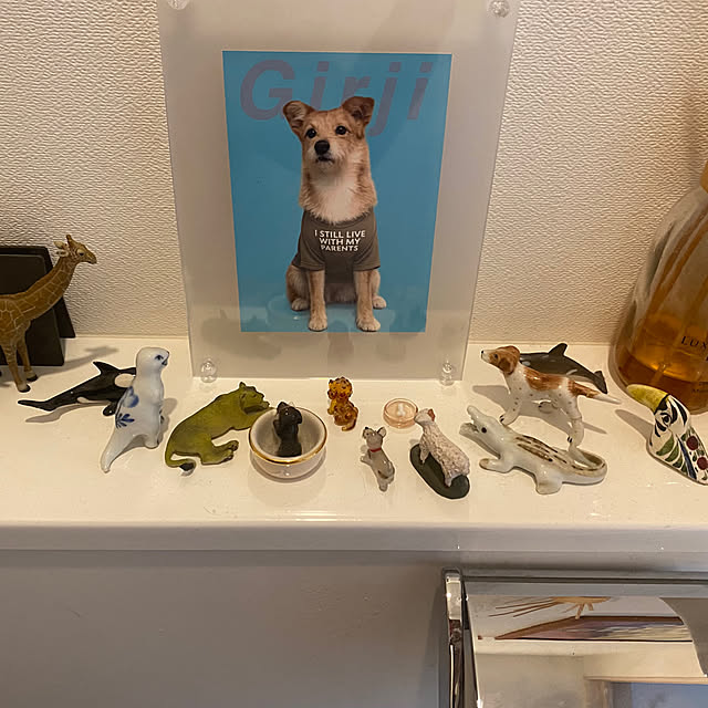 Yoheiさんの実例写真