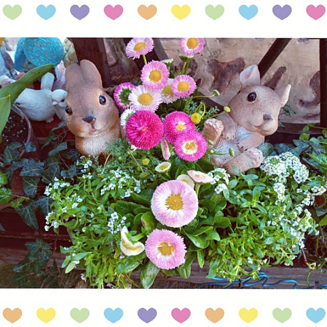 mocomocoさんの実例写真