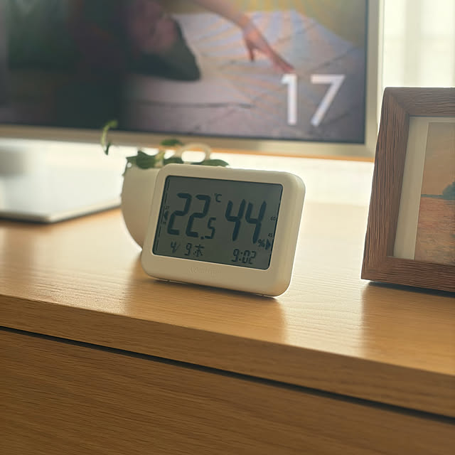 Anthuriumさんの部屋