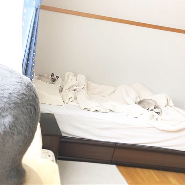 mujinekoさんの実例写真