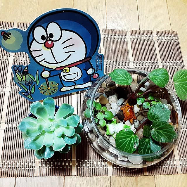 katさんの部屋