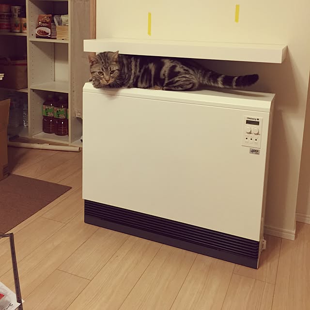 y.k.0123さんの実例写真