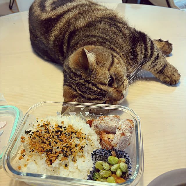 chiiさんの部屋