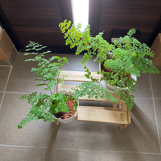 tanboさんの部屋