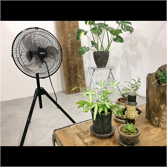 chairgreenさんの実例写真