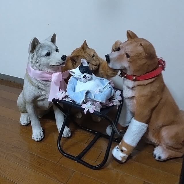 NOAHさんの部屋
