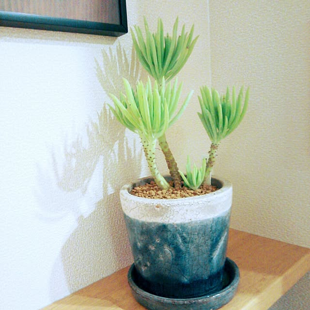 tokoさんの実例写真