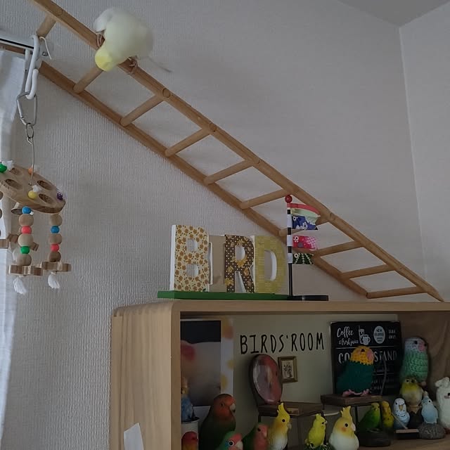 toratanさんの部屋