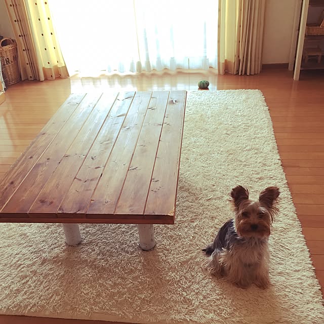 mayuoさんの実例写真