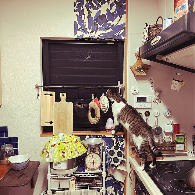 jijiさんの実例写真