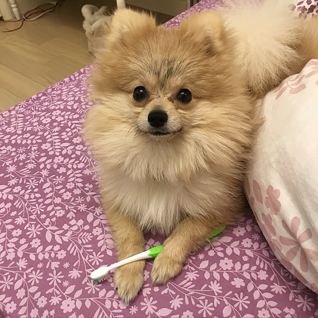 MAKARONさんの実例写真