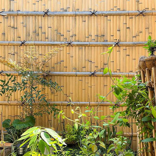 fawnさんの実例写真