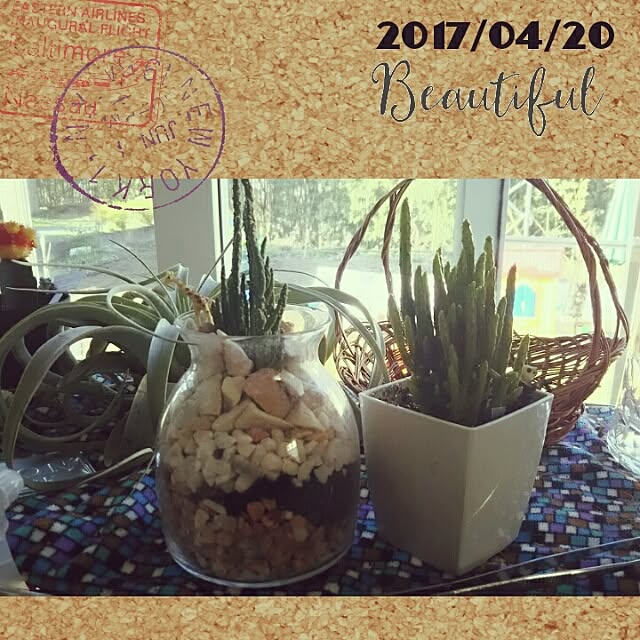 bousuke.215112さんの実例写真