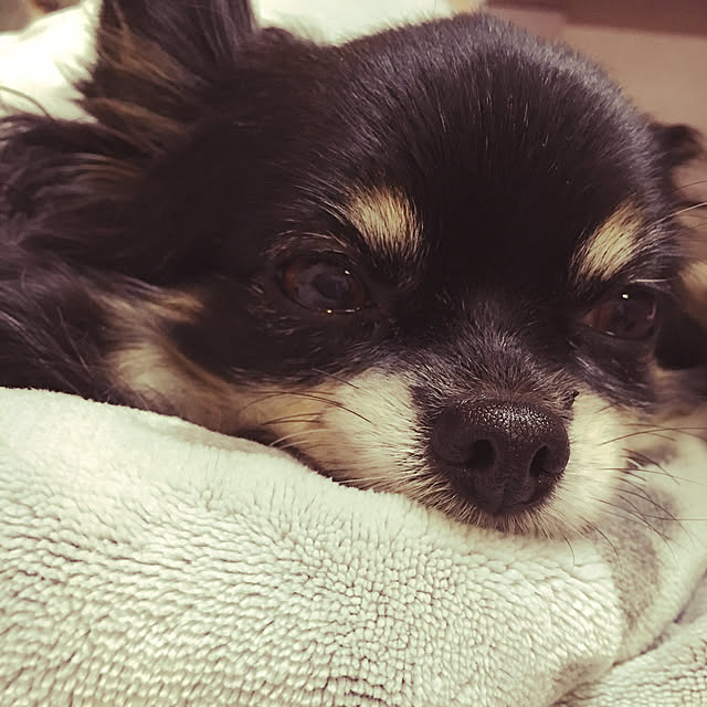 cocoさんの実例写真