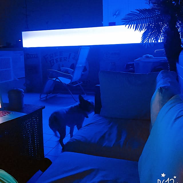 donさんの実例写真