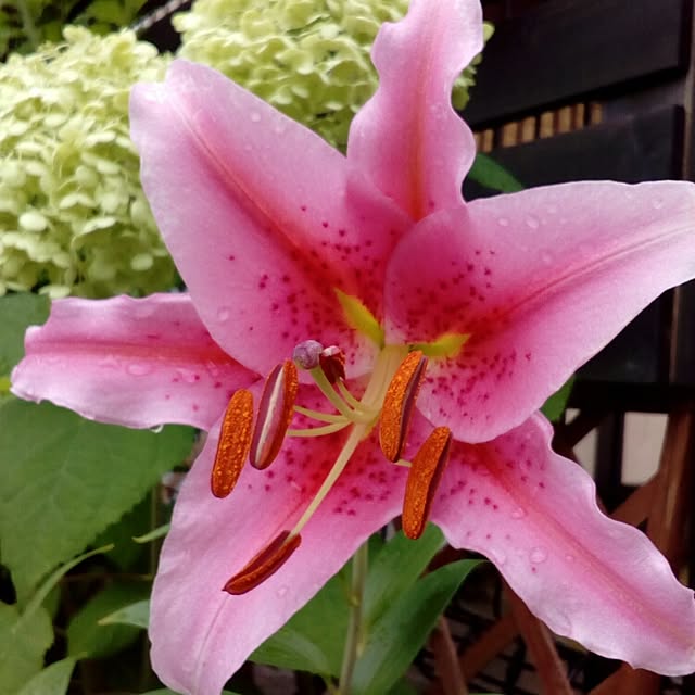 VERANDARJUNさんの実例写真