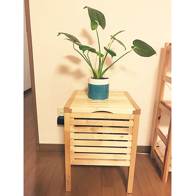 kakaoさんの実例写真