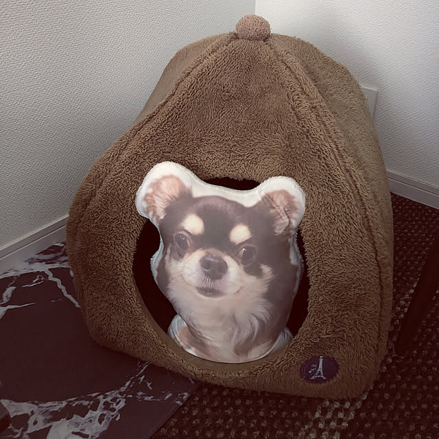 chocoさんの実例写真