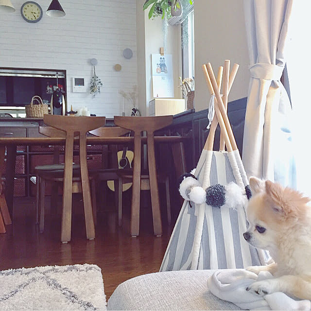 ponさんの実例写真