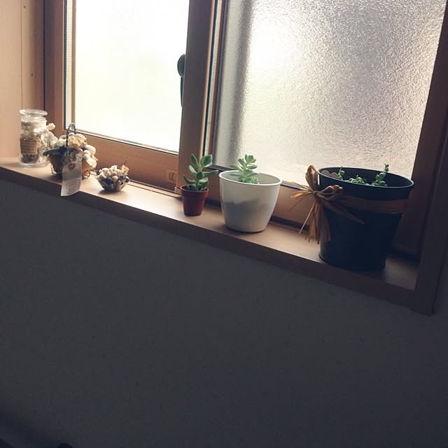 バス/トイレ/多肉植物/手作り/ドライフラワーのインテリア実例 - 2014-07-16 14:39:58