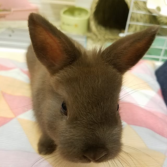 yuiさんの実例写真