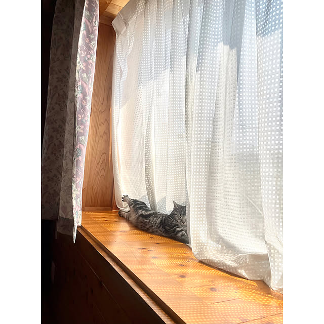 yumiさんの実例写真