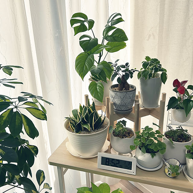 yoyoyoさんの部屋