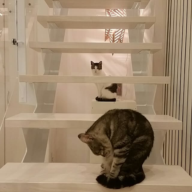 runayucoさんの実例写真