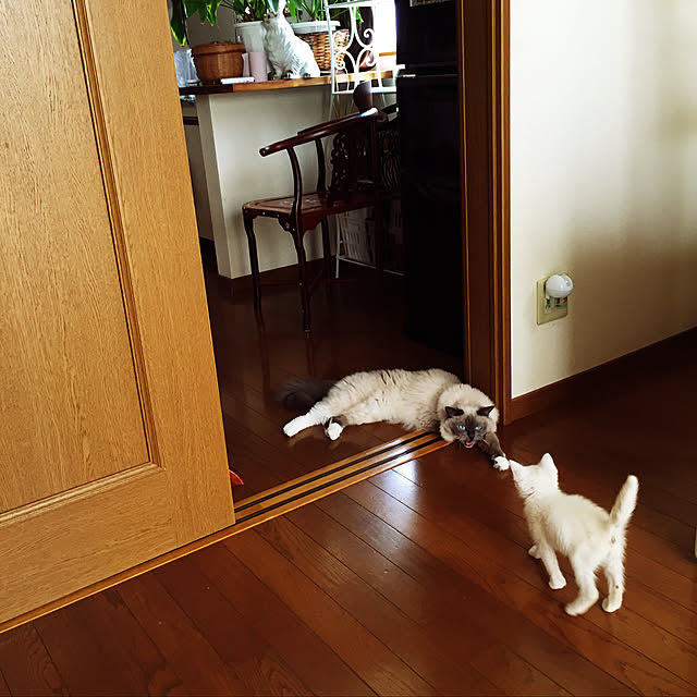 emergencyさんの実例写真