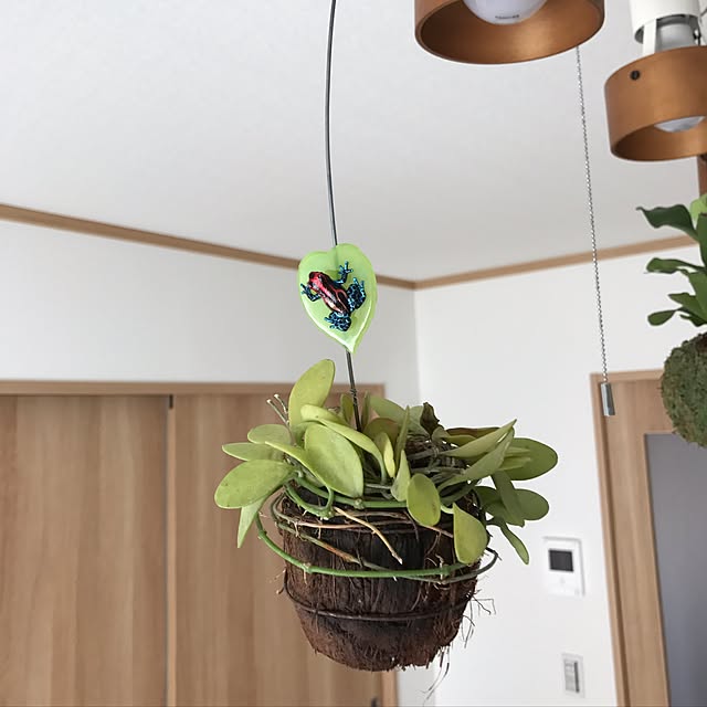 dangoさんの実例写真